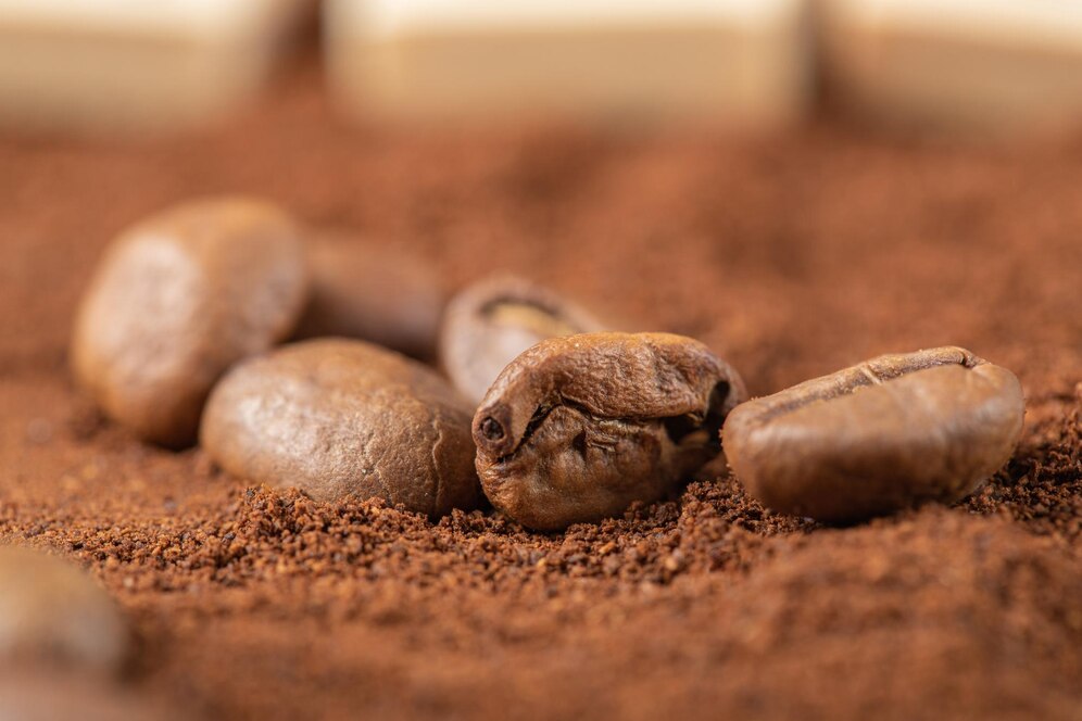 Como plantar muda de café